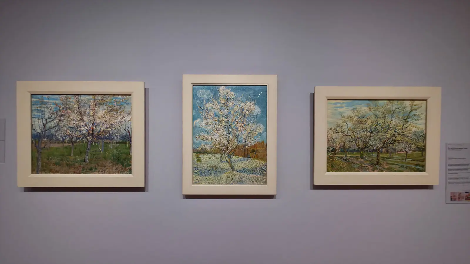 Van Gogh's orchard triptych at the Van Gogh Museum: The Pink Orchard, The Pink Peach Tree and The White Orchard in cream frames