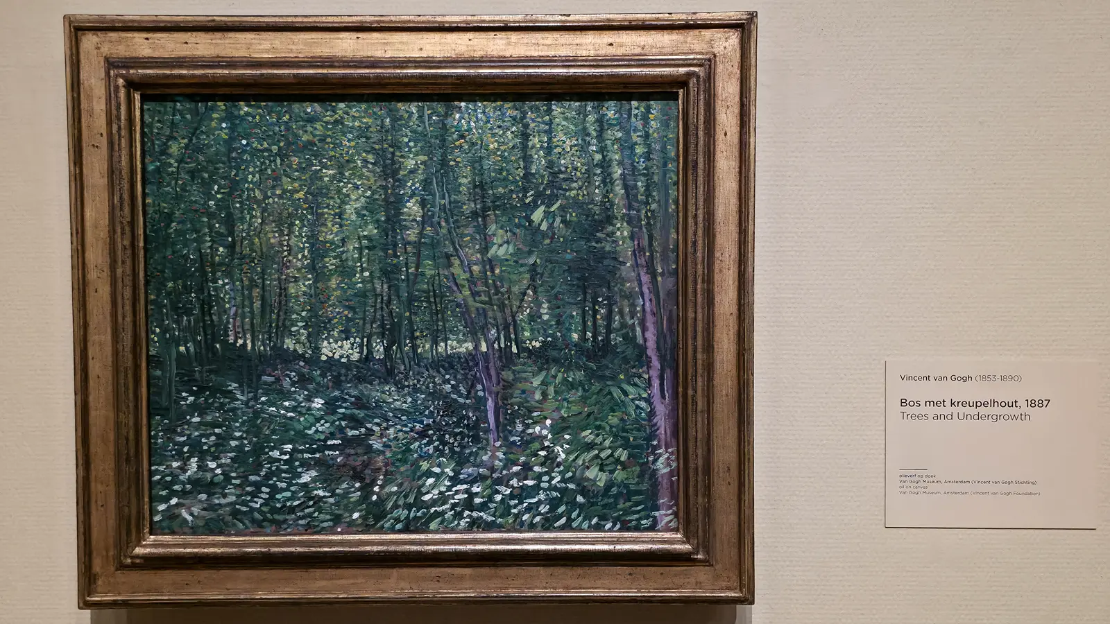 Van Gogh's Trees and Undergrowth (1887), thin trunks and a white-flecked floor in a dense green wood, in a silver-gilt frame, Van Gogh Museum, Amsterdam