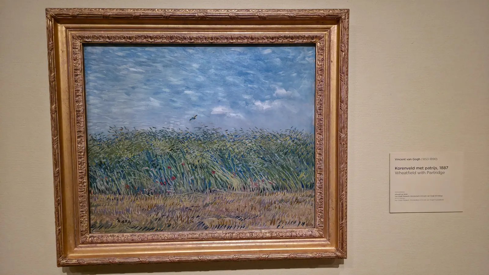Van Gogh's Wheatfield with Partridge (1887), wind-bent wheat in green and blue strokes under a pale blue sky with a single bird in flight, in a gilt frame, Van Gogh Museum