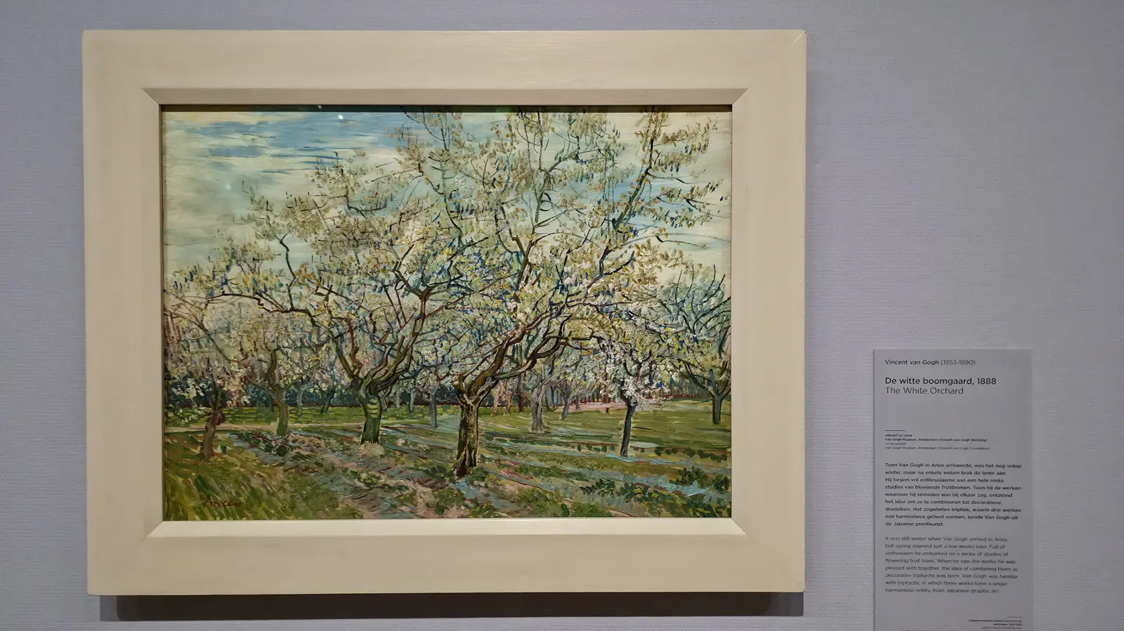 Van Gogh's The White Orchard (1888), rows of fruit trees in white blossom under a pale blue sky, in a cream frame at the Van Gogh Museum