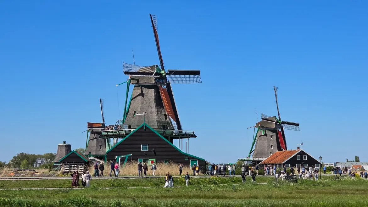 Windmills at Zaanse Schans under a clear sky, with visitors on the path below the black timber mill house, Zaandam