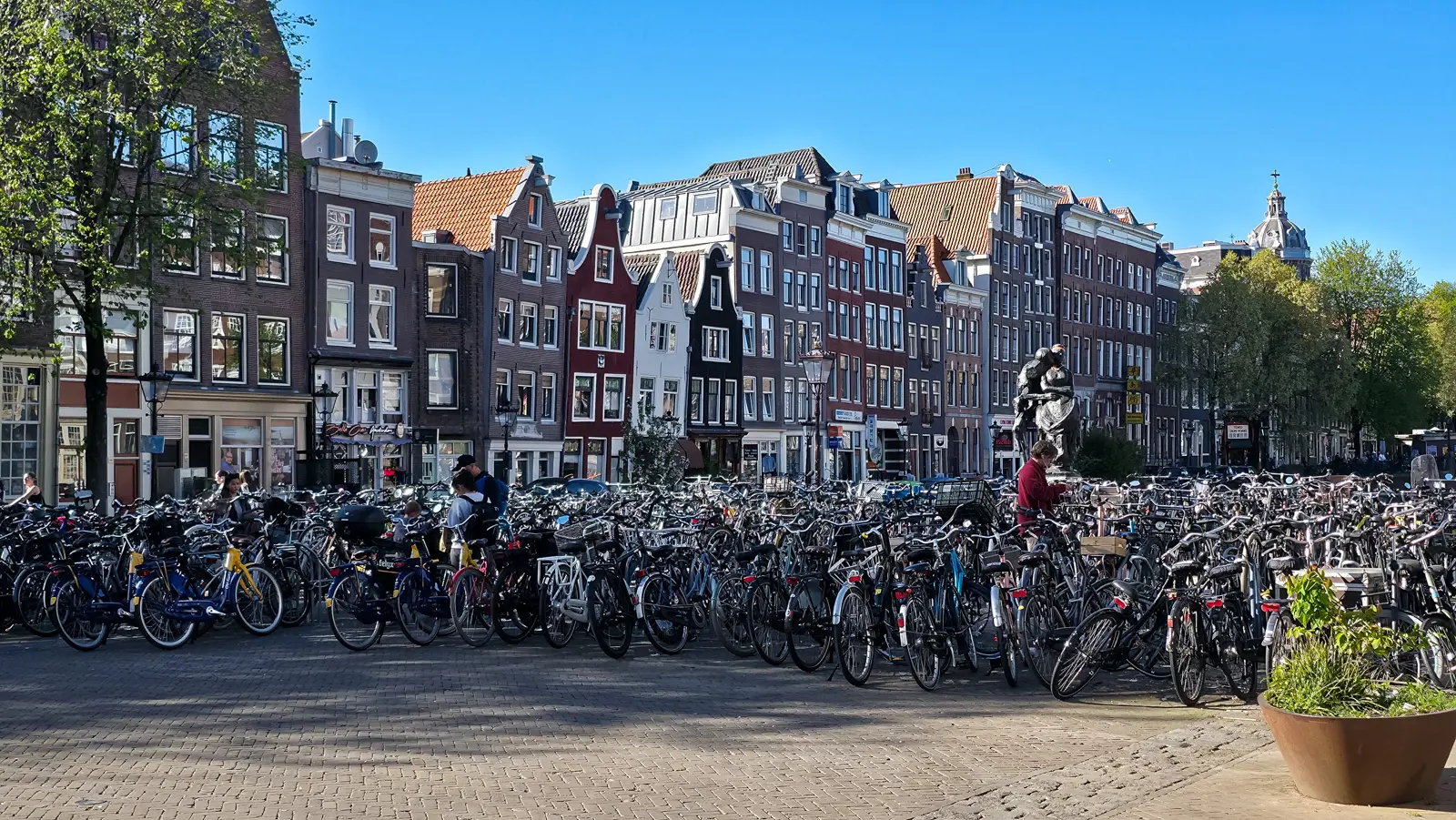Rows of bicycles parked in front of gabled canal houses in central Amsterdam on a sunny evening