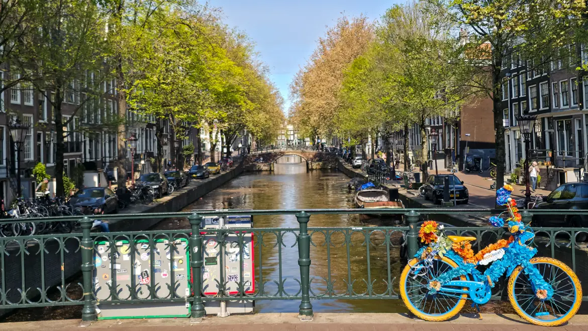 A tree-lined canal in Amsterdam seen from a bridge, with a bike decorated in blue and orange flowers locked to the railing