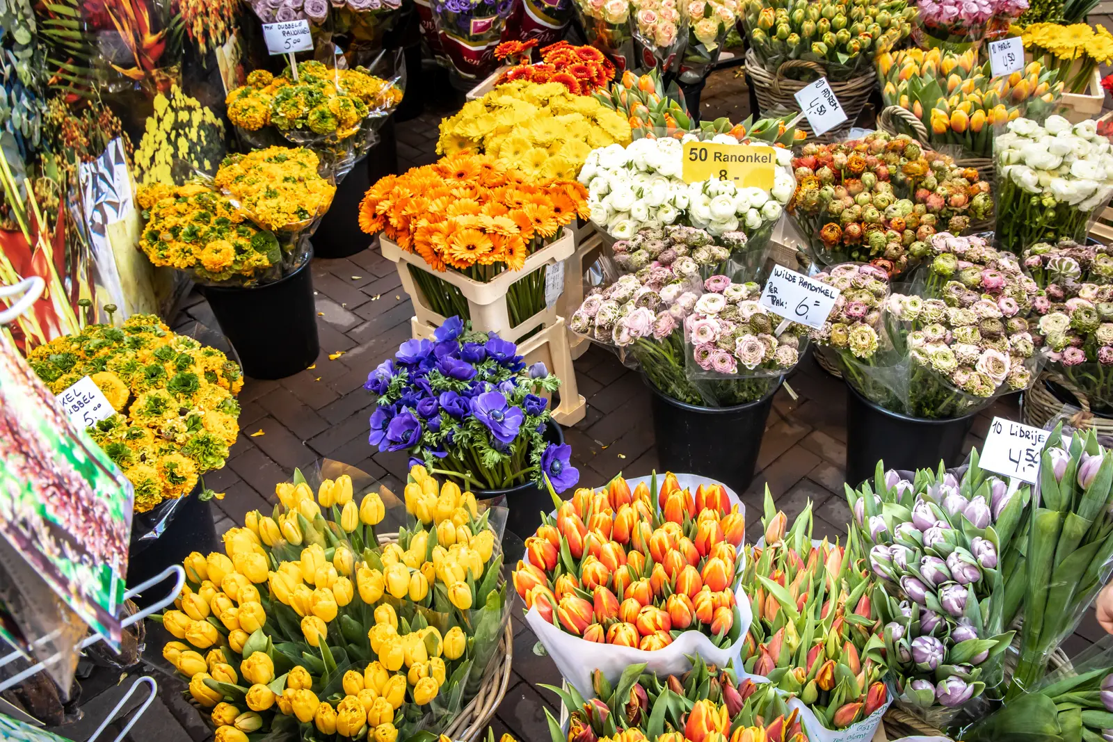 Buckets of tulips, ranunculus, anemones and gerberas at an Amsterdam flower stall, with handwritten price cards