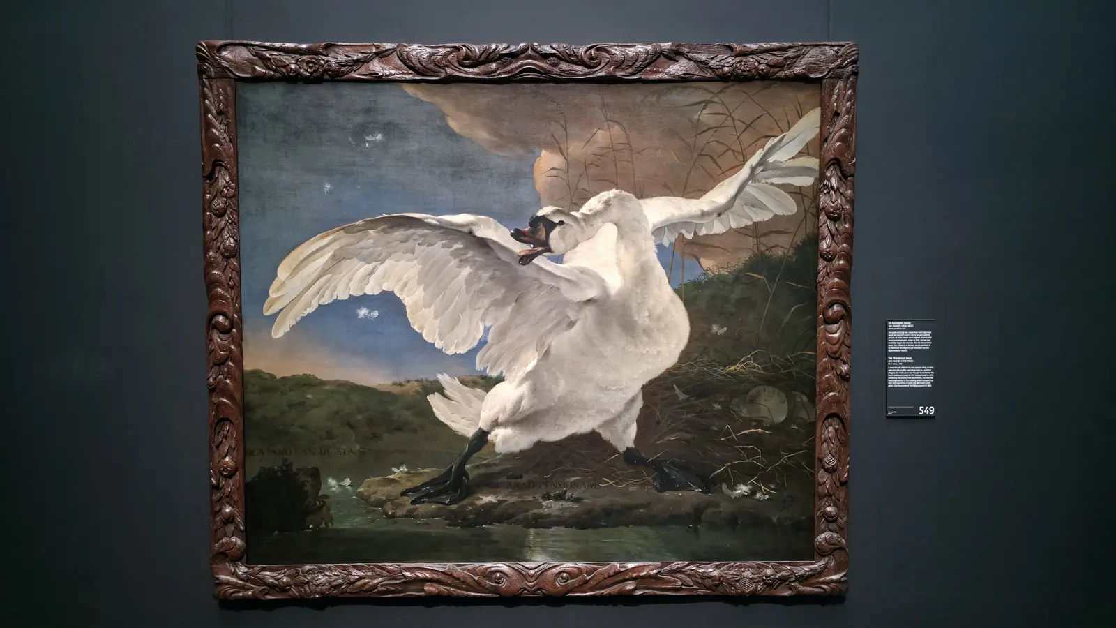Jan Asselijn's The Threatened Swan at the Rijksmuseum, a white swan with wings spread defending its nest