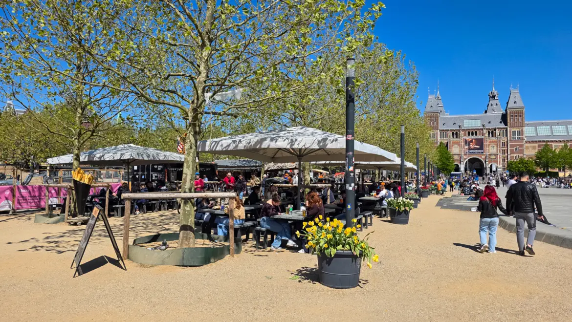 Picnic tables under white umbrellas on Museumplein, Amsterdam, with yellow tulips in a tub and the Rijksmuseum behind