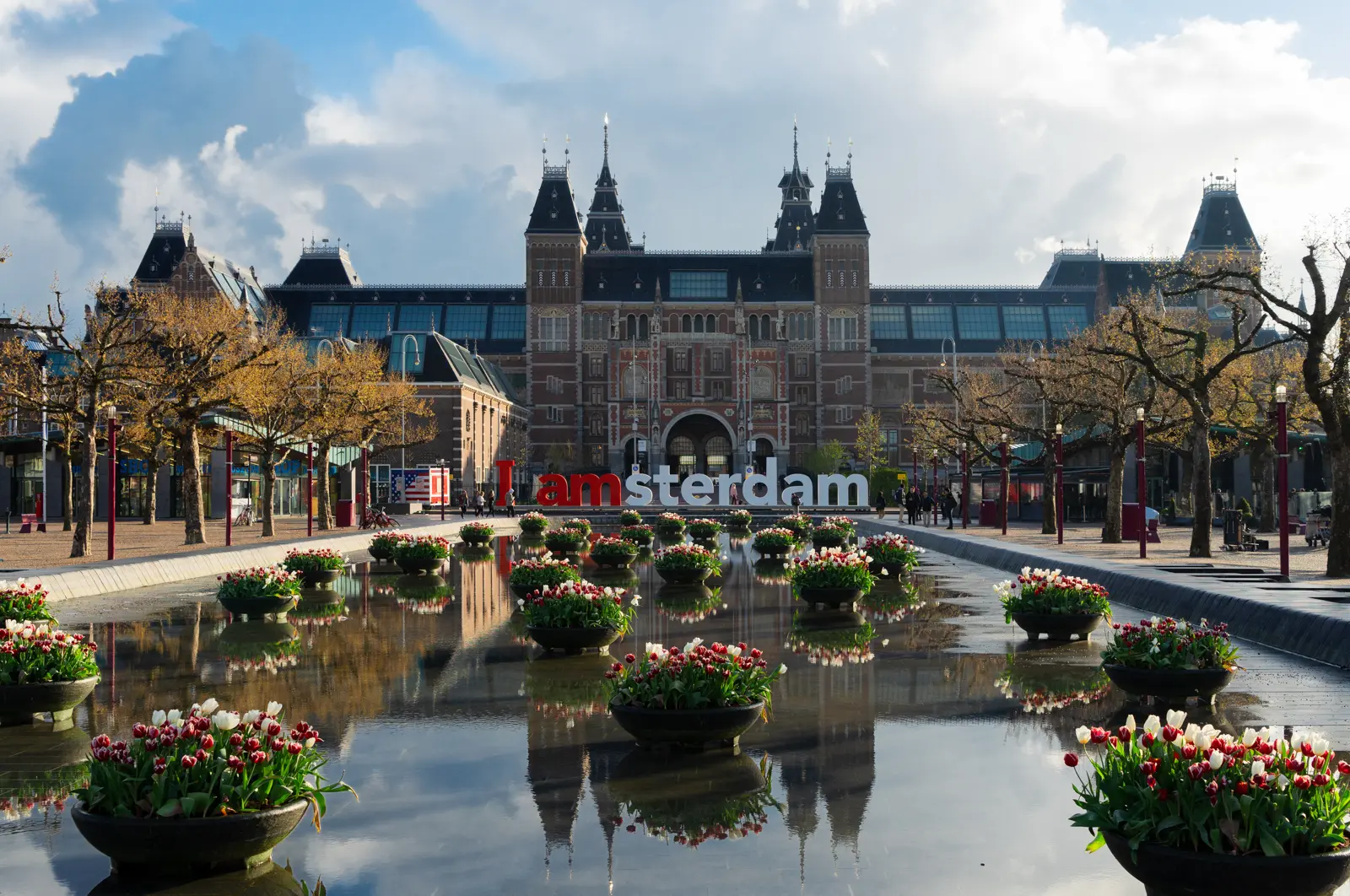 Tubs of red and white tulips on the reflecting pond on Museumplein, Amsterdam, with the Rijksmuseum and the I amsterdam letters behind
