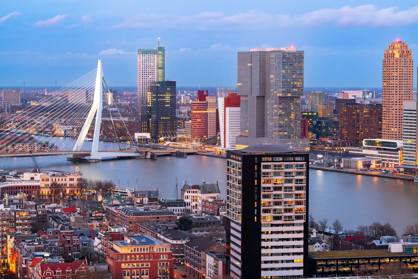 Rotterdam skyline at dusk, with the white Erasmus Bridge crossing the river and tall towers on the far bank