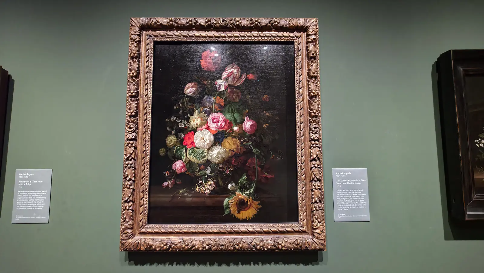 Rachel Ruysch's Still Life of Flowers in a Glass Vase on a Marble Ledge at the National Gallery, London, a sunflower on the ledge