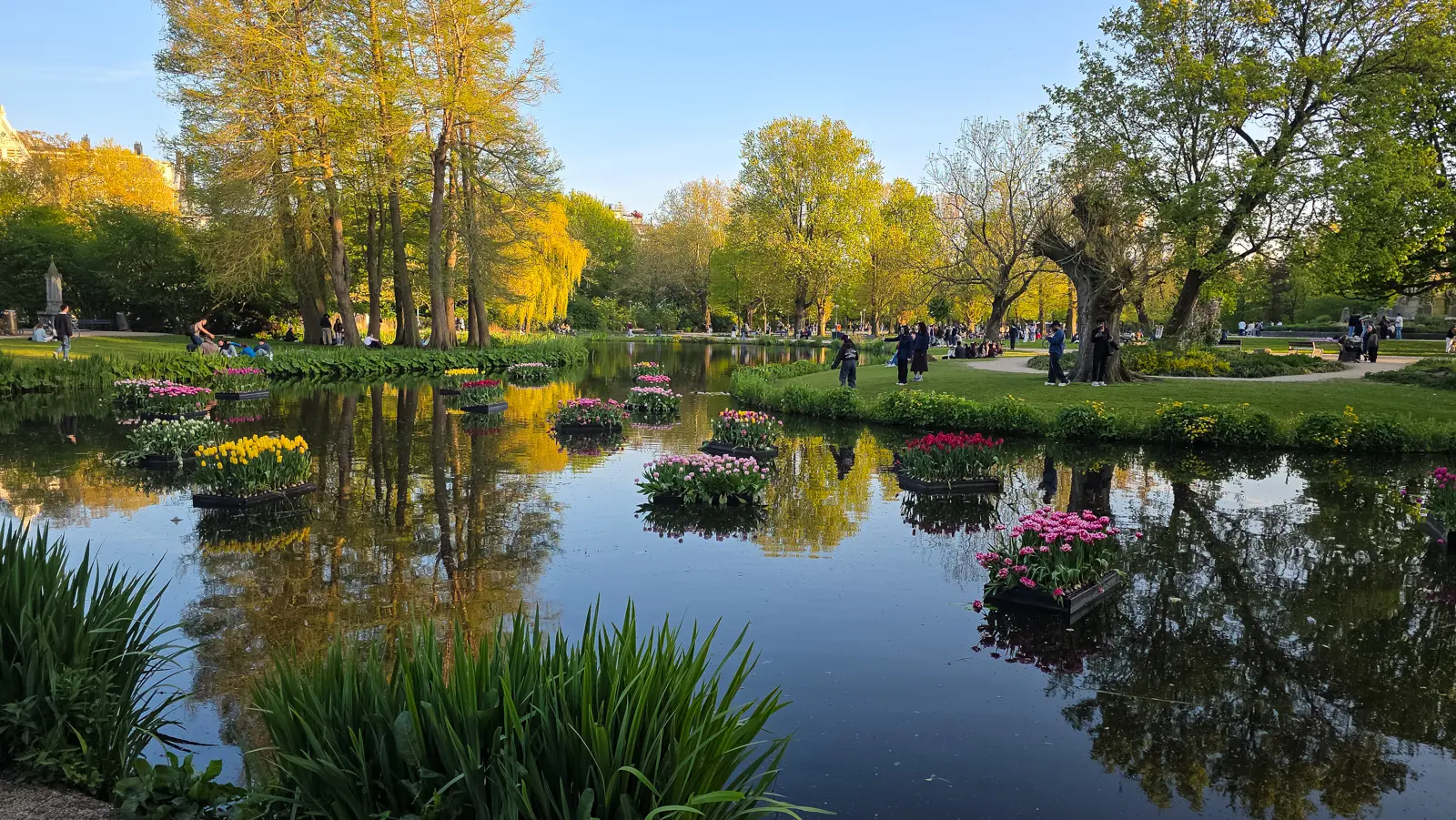 Floating planters of pink, yellow, white and red tulips on a pond in Vondelpark, Amsterdam, with trees reflected in the water