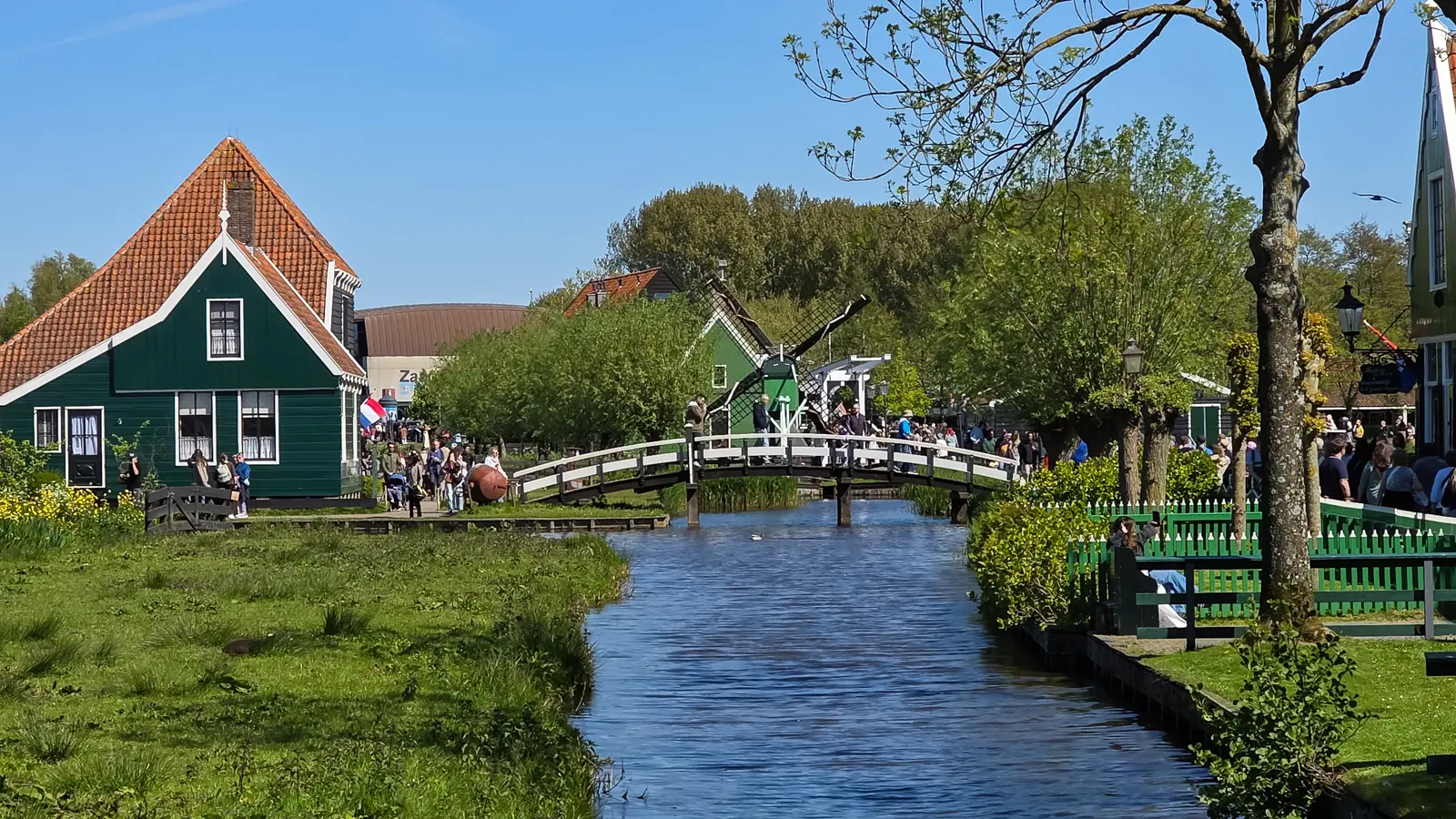 Green wooden houses, a white footbridge and a small windmill along a canal at Zaanse Schans near Amsterdam