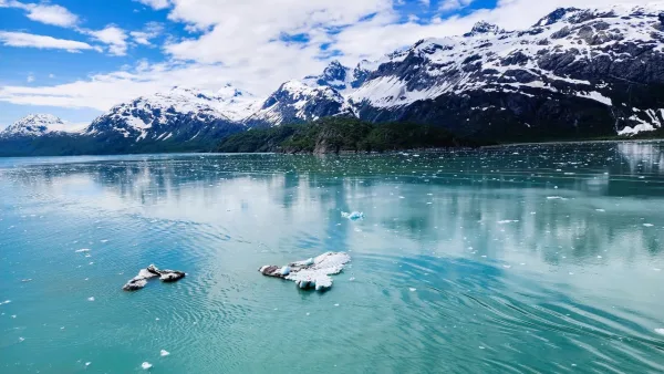 Bubbly Living photo 5