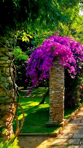 A Quiet Garden of Memory in Barcelona