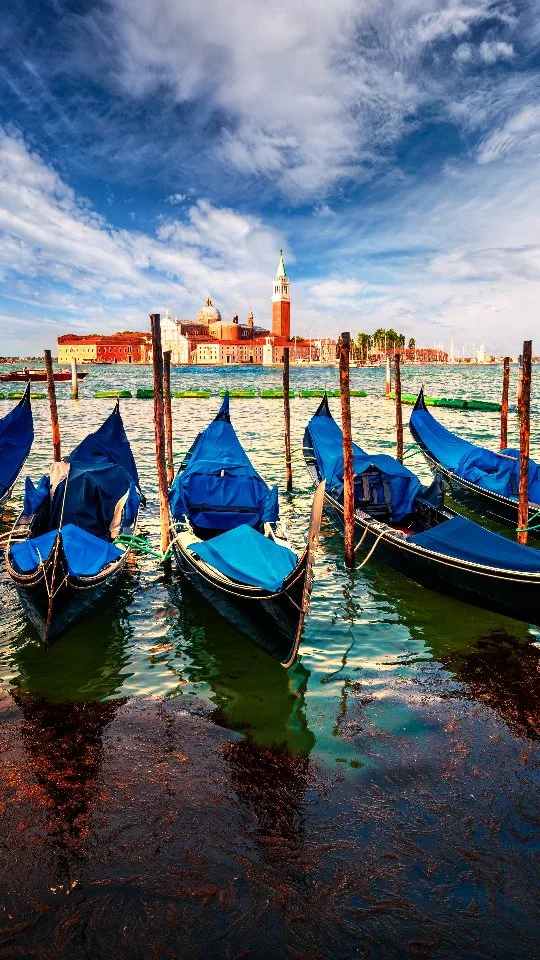 Gondolas swaying on the Bacino San Marco The heart of Venice captured in a single view - history, beauty and timeless...