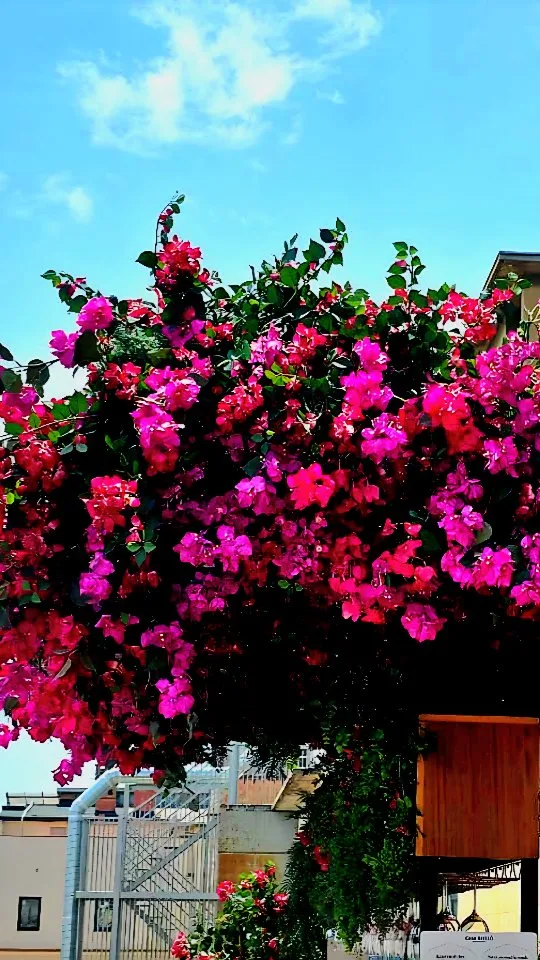 Where art meets lifestyle… and Gaudí meets happy hour.