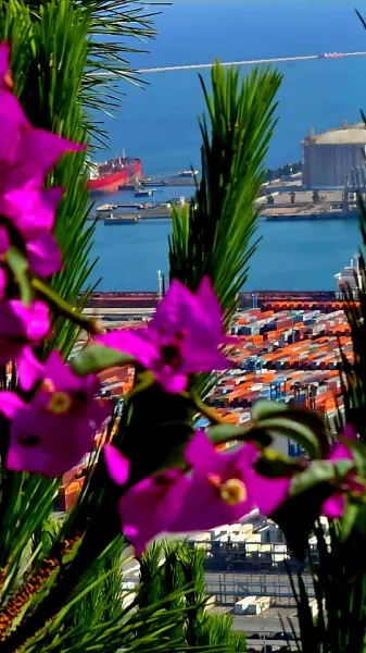 Montjuïc Castle: Barcelona’s Hilltop Fortress With a View