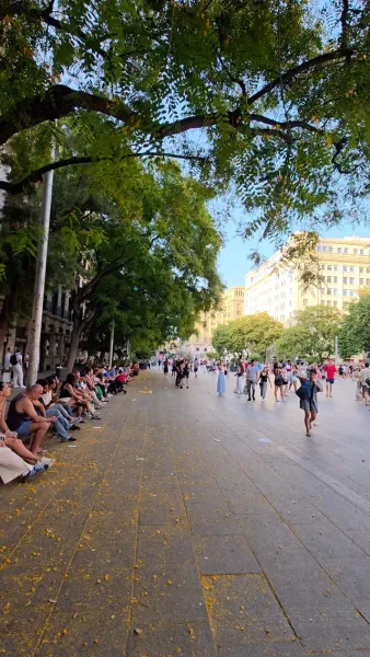 Sunny Afternoon in Pla de la Seu