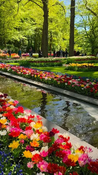 Tulips, sunshine, fountains... and ice cream
