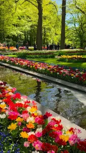 Tulips, sunshine, fountains... and ice cream