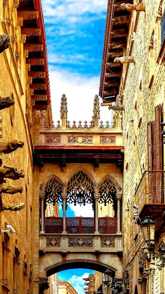 Barcelona, you stole my heart From Gaudi's whimsical creations to the charm of the Gothic Quarter, every corner of th...